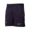 Nike Inglaterra Segunda Equipación Eurocopa 2024 Shorts