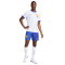 Nike Frankrijk Authentiek Euro 2024 Uit Shorts