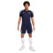 Nike Francia Training Eurocopa 2024 T-Shirt