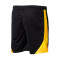 Puma Borussia Dortmund  Edición Especial 2023-2024 Shorts