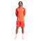 adidas FC Bayern Training 2023-2024 Shirt