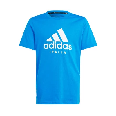 Italia Fanswear Eurocopa 2024 T-Shirt