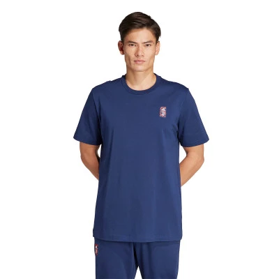 Juventus Fanswear 2023-2024 T-Shirt