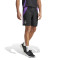 adidas Alemania Fanswear Eurocopa 2024 Shorts