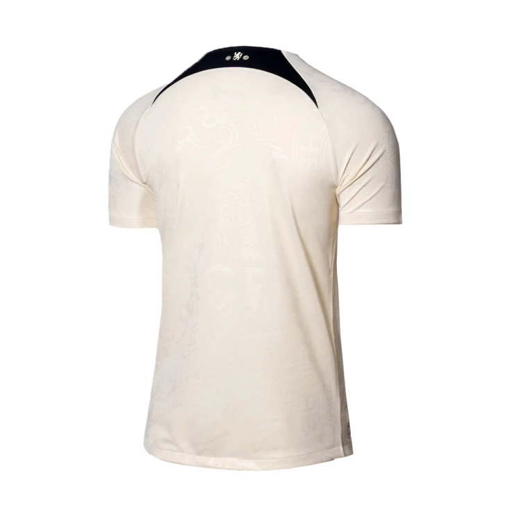 camiseta-nike-chelsea-fc-pre-match-2023-2024-natural-pitch-blue-1