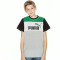 Puma Essentials Block Niño T-Shirt