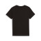 Puma Essentials Block Niño T-Shirt