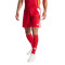 adidas Tiro 24 Shorts