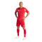 adidas Tiro 24 Shorts