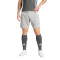 adidas Tiro 24 Shorts