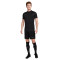 Nike Dri-Fit Academy 23 T-Shirt