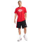 Nike Swoosh Shirt