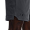 Under Armour Vanish Shorts
