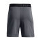 Under Armour Vanish Shorts
