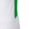 Castore Irlanda Segunda Equipación 2024-2025 Shirt