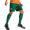 Puma Valencia CF 2024-2025 Derde Kit Shorts