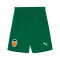 Puma Valencia CF 2024-2025 Derde Kit Shorts