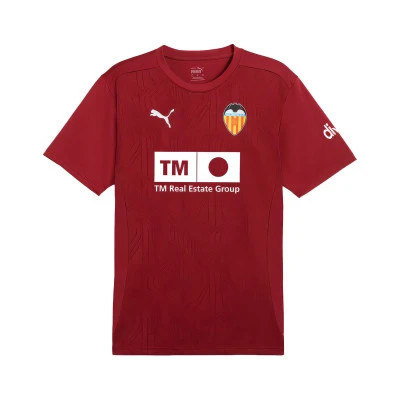 Training Valencia CF 2024-2025 T-Shirt