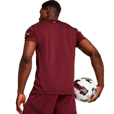 Manchester Plaats 2024-2025 Derde Shirt