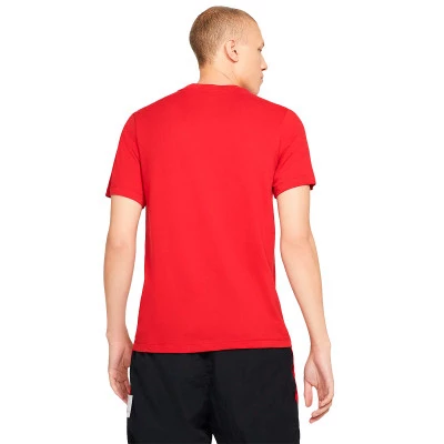 Jumpman Dri-Fit Crew T-Shirt