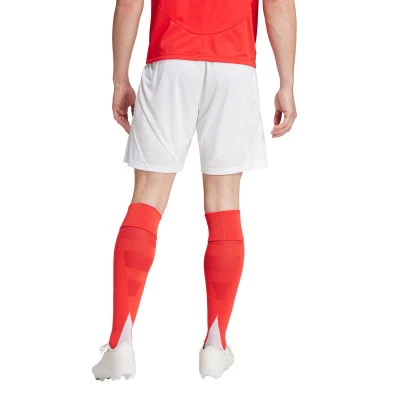 SLB Benfica 2024-2025 Shorts