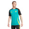 adidas Jamaica-training 2024-2025 Shirt