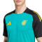 adidas Jamaica-training 2024-2025 Shirt