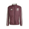adidas Mexico Pre-Match Copa América 2024 Jack
