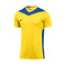 Nike Park Derby IV m/c Shirt