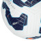 Nike Academy Bal