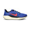 Nike Luchtzoom Pegasus 41 Hardloopschoenen