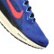 Nike Luchtzoom Pegasus 41 Hardloopschoenen