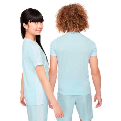 Dri-FIT Academyd23 T-Shirt