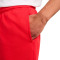 Nike Club Flow Shorts