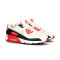 Nike Dames Air Max 90 Trainers