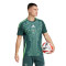 adidas Algerije Afrika Cup 2024 Uit Shirt