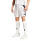 adidas Tiro 24 Shorts