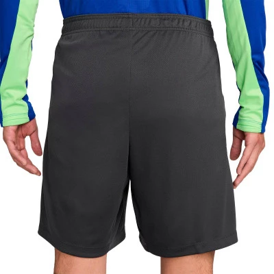 FC Barcelona 2024-2025 Training Shorts
