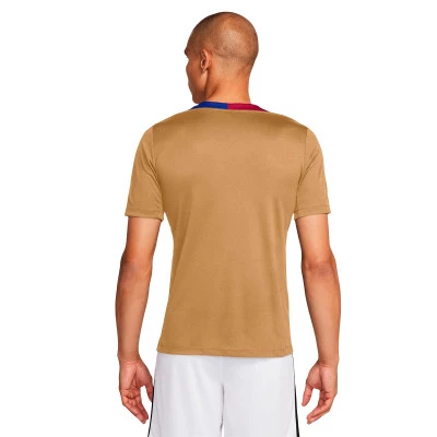 FC Barcelona 2024-2025 Training T-Shirt