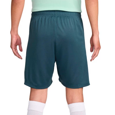 Tottenham 2024-2025 Training Shorts