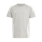 adidas Tiro 24 Cotton Mujer Shirt