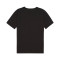 Puma teamRISE Matchday m/c Shirt
