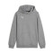 Puma Con Capucha team GOAL Niño Sweatshirt