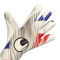 Uhlsport Absolutgrip Foam France Euro24 Handschoen