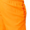 Nike Essential 5" Volley Badpak