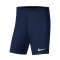 Nike Park III Knit Gimnástica de Torrelavega Niño Shorts