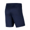 Nike Park III Knit Gimnástica de Torrelavega Niño Shorts
