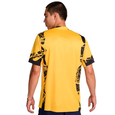 Inter Milaan 2024-2025 Derde Shirt