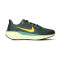 Nike Luchtzoom Pegasus 41 Hardloopschoenen