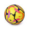 Nike Premier League 2024-2025 Academie Bal